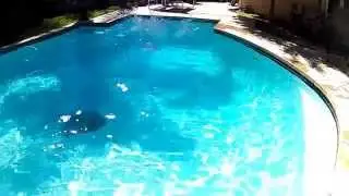 Ultra Pro X Adventure Cam 8 Pool Fun