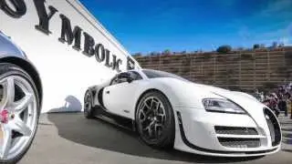 Bugatti Veyron Pur Blanc Up Close - One of kind black and white