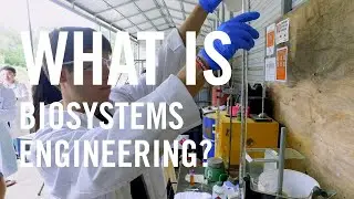 Biosystems Engineering | Pathways In Engineering