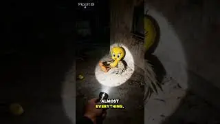 abandoned #TweetyBird hopping to apeared again in any show,  in 90's these were the Hero.#nostalgia