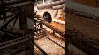 Circular saw cutting huge wood #amazing #cutting #trending #sawmill #short #ytshorts #crazy