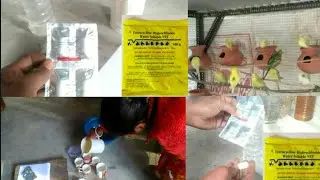 TETRACYCLINE HYDROCHLORIDE TABLETS Brids antibiotic medicine