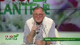 Cum folosim corect Teracalco?