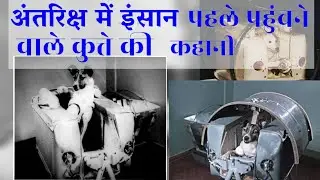 from humans in space first dog story of | Laika Dog |