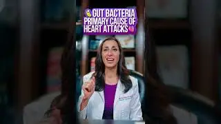 Gut Bacteria Is a Primary Cause Of Heart Attacks