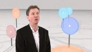 Laurent Vanden Brande, EU Distribution Center Manager - Sports Direct International Logistics