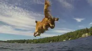 New Hampshire 2013 | Lake Winnipasaukee