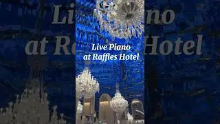 A must-see if you're in Qatar. Live Piano at Raffles Hotel Doha #rafflesdoha #pianist #qatar #doha