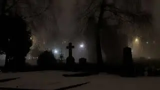 Lana Del Ray - West Coast  ( Sped Up )