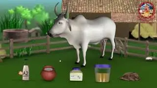 Gir Cow Milk Benefits