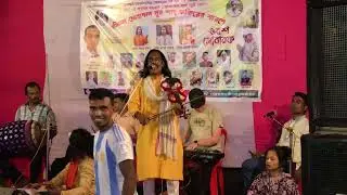একটা নূরের আলো ঝলমল করে পীর আউলিয়ার দরবারে || বাউল সিরাজ উদ্দিন ||