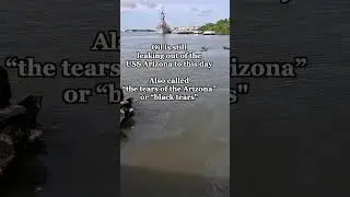 Visit to Pearl Harbor | USS Arizona