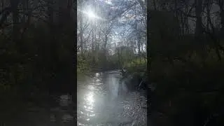A Timeout in nature &hellip; turn the volume up!