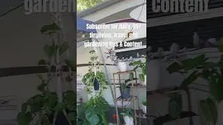 Subscribe for daily RV, travel or gardening content 🩵🫶🏼 thamk you im new here! #rv #homeonwheels