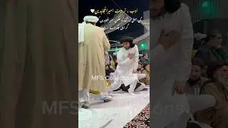 ایسے ہیں شہزادے❤️ |  Mufti Hafiz Anas Hussain Rizvi | Urs 2024 | Allama Khadim Hussain Rizvi | TLP
