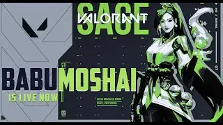 @HydraFlick Please Raid This Channel | Valorant Chill Stream