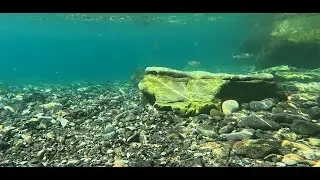 Therma Beach Underwater &ndash; Kos Island | Rising Air Bubbles & Fish | 4K