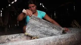Chicha making with the Mats&eacute;s