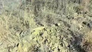 Day Three，Look down from a mountain，Search for food