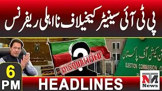 Disqualification Reference Filed Against PTI Senator | 6 PM Headlines | 30 Jan 2026