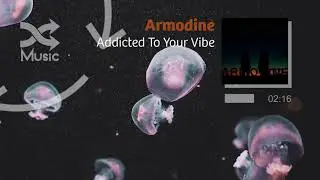 Armodine - Addicted To Your Vibe