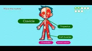 BodyQuest! #games #gaming #quiz #adventure (5)