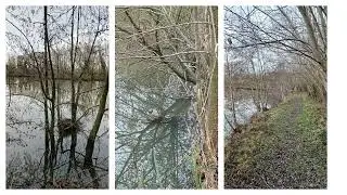 Le Tr&egrave;fle Wiers