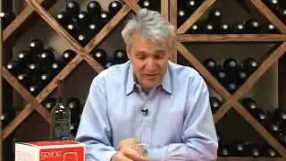 govino Stemless Shatterproof Wine Glasses