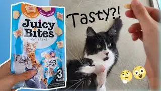 Inaba Juicy Bites cat treats crab and scallop flavor taste test (by my cats duh)