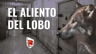 Amir Valle y la pol&iacute;tica