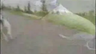 Flight of the SparkleBee
