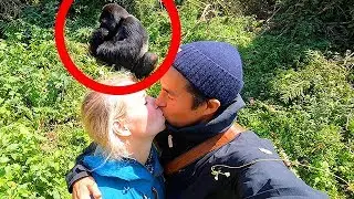 PHOTOBOMBED by a Silverback GORILLA in RWANDA!! with Julianne Hough and Brooks Laich!!