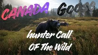 Buying the WILD GOOSE CHASE gear in The Hunter Call Of The Wild