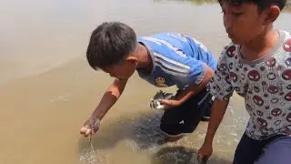 Fenomena Alam yg sangat mengejutkan!!bagi bagi ikan sebagor