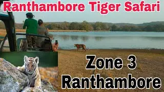 Ranthambore Tiger Safari | Ranthambore Vlog | How to Book Ranthambore Safari Online | Ranthambore