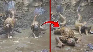 Coisas Mais Assustadoras Encontradas Em Rios
