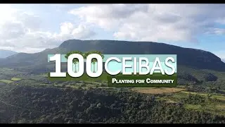 100 Ceibas: A Community Reforestation and Cultural Revitalization Project