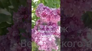 #парк #цветы #природакрыма