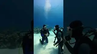 SHARK CIRCLES UNDERWATER WEDDING PROPOSAL