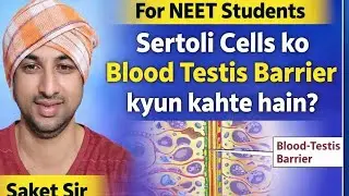 Sertoli Cells ka Secret Function! Blood Testis Barrier Explained | NEET 2026
