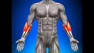 Cant take PRE workout, try this stack Guaranteed PUMPS