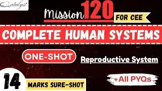Theory+all PYQs || Reproductive system || one shot || catalyst institute || CEE 
