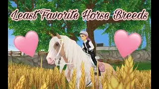 SSO Least Favorite Horse Breeds