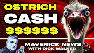 Ostrich Farm Scandal: Where Did the Massive Donations Really Go? (Part 2)