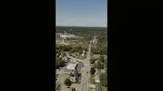 Take Flight. Hawk in the video!