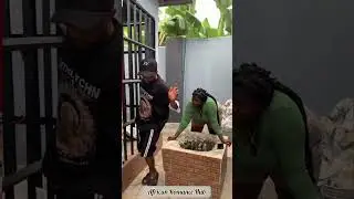 TAPPING HER BIG NYASH