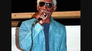 Echoes Of My Mind - Ronnie Butler