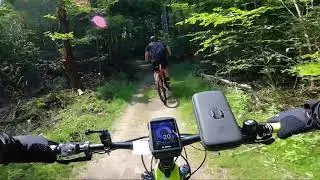 Eine matschige Angelegenheit im Hometrail bei Erlenbach 29.07.21