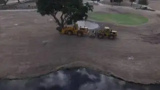 Banyan Cay Tree Moving 1/17/17