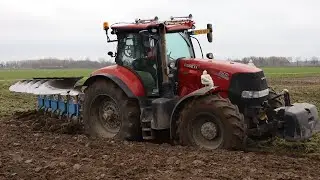 Case Puma 240 cvx onland ploughing with Lemken Juwel 8 | Ploegen/Pflügen
